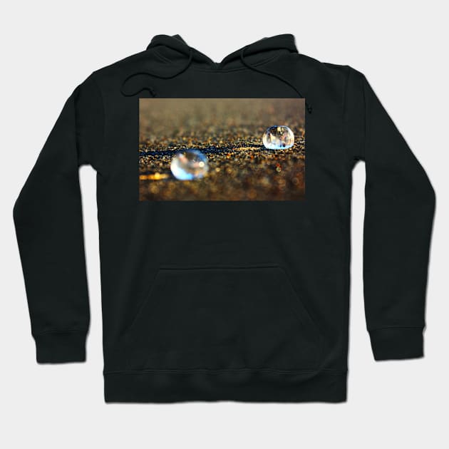 Hatching II. San Francisco, Lincoln Park Beach Hoodie by IgorPozdnyakov